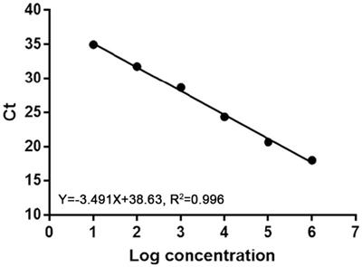 Application of quantitative real-time PCR to detect Mink Circovirus in minks, foxes and raccoon dogs in northern China